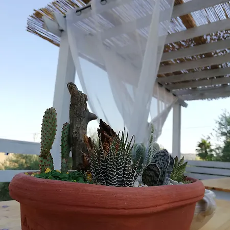 B&B Villa Kairos-2